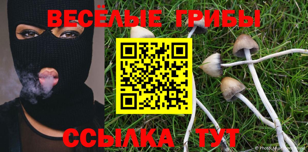 Псилоцибиновые грибы MAGIC MUSHROOMS  Кузнецк 