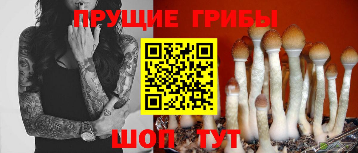 наркошоп  Галлюциногенные грибы Magic Shrooms  Вход с VPN  Кузнецк 