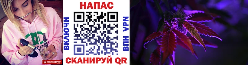 Бошки Шишки Amnesia Кузнецк